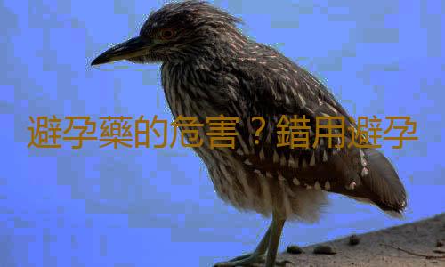 避孕藥的危害?錯用避孕套的不良後果